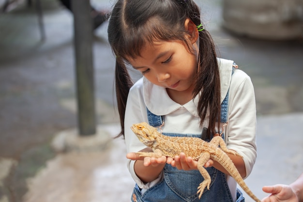 Cute asian child girl holding and playing with chameleon with curious and fun