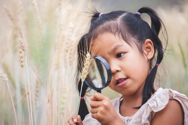 Cute asian child girl looking the ears of wheat through a magnifying glass in the barley field