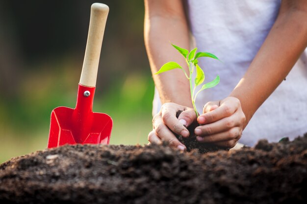 Cute asian child girl planting young tree in the black soil in the garden