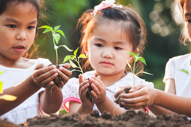 かわいいアジアの子供たちが一緒に庭で黒い土に若い木を一緒に植える