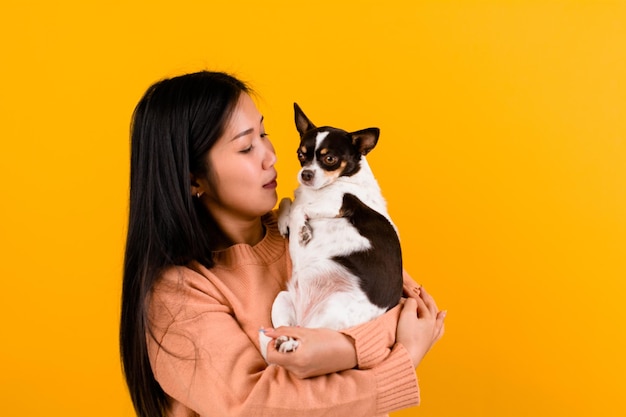 Cute Asian woman with his chihuahua chihuahua dog lover The happiness of a girl who loves his dog The love of people and cute dogs photo shoot in orange studio