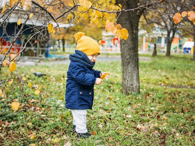 Cute baby boy in fashionable casual clothes explores the world in autumn nature park