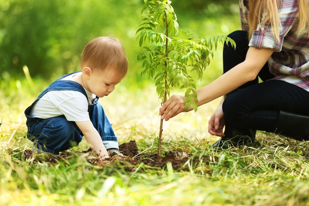 庭で親と一緒に木を植えるかわいい男の子