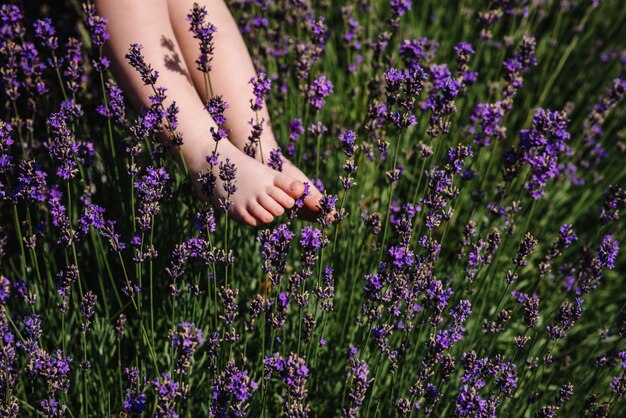 Cute baby feet in lavender Purple lavender in blossom Kid legs touching lavender feeling nature Just leg Little child playing on a lavender meadow field background