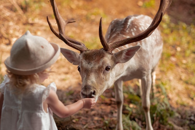 Photo cute baby girl toddler child feeding big brown deer fawn with antlers in forest park farmbravecuteha