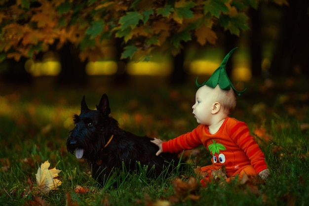 cute baby in a pumpkin costume outdoors in autumn