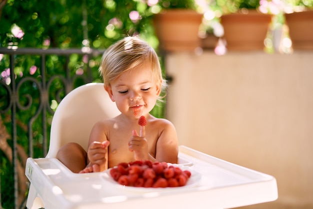 Cute baby sits on a high chair putting raspberries on his finger