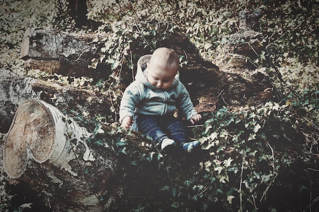 Photo cute baby sitting on fallen tree