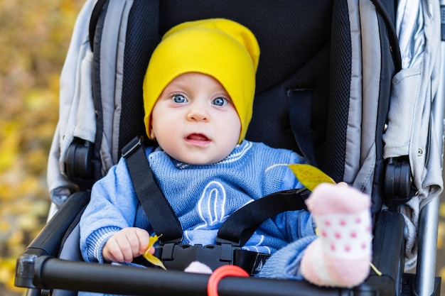 Cute baby sitting in a stroller in autumn park