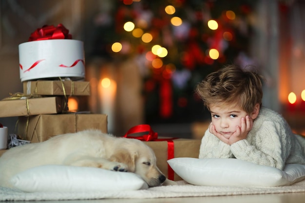 Cute baby with a white golden labrador on the background of Christmas decorations