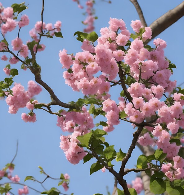 Cute Beautiful flower on tree