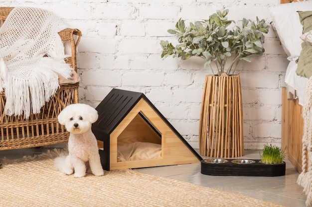 Simpatico cucciolo di bichon frise con un'elegante casa per animali domestici all'interno della stanza