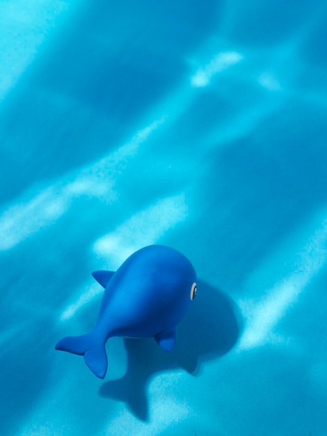 Cute blue color whale on the blue background-under water light effect