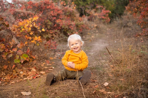 Cute boy in autumn forest background with golden and red trees