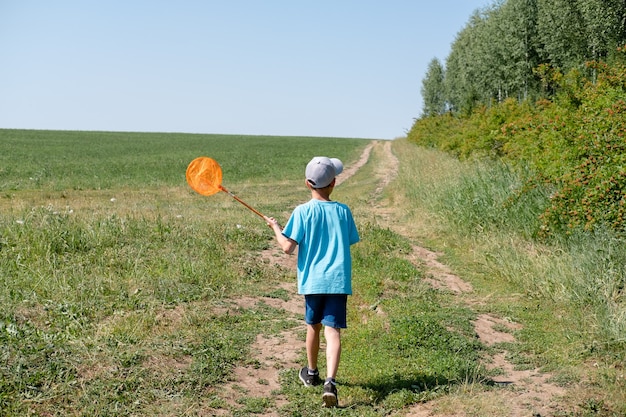 Cute boy catches butterflies with scoop-net on sunny meadow. Young explorer of the nature. Summer activities for inquisitive child.