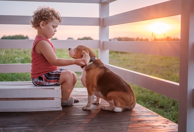 Ragazzo sveglio e cane beagle che si siede che abbraccia sulla veranda della casa in una sera d'estate contro il tramonto