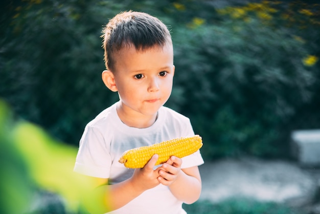 茹でたトウモロコシを食べる庭や屋外公園のかわいい男の子は夏に非常に食欲をそそる