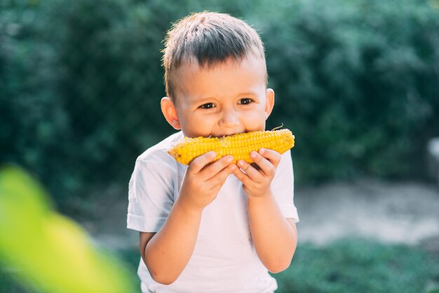 茹でたトウモロコシを食べる庭や屋外公園のかわいい男の子は夏に非常に食欲をそそる