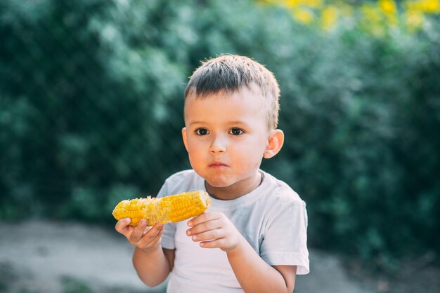 茹でたトウモロコシを食べる庭や屋外公園のかわいい男の子は夏に非常に食欲をそそる