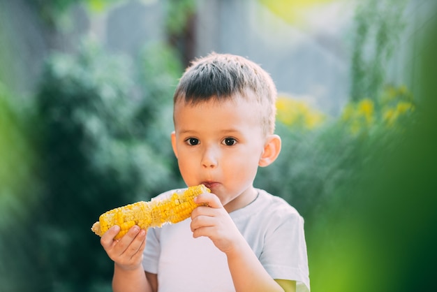 茹でたトウモロコシを食べる庭や屋外公園のかわいい男の子は夏に非常に食欲をそそる