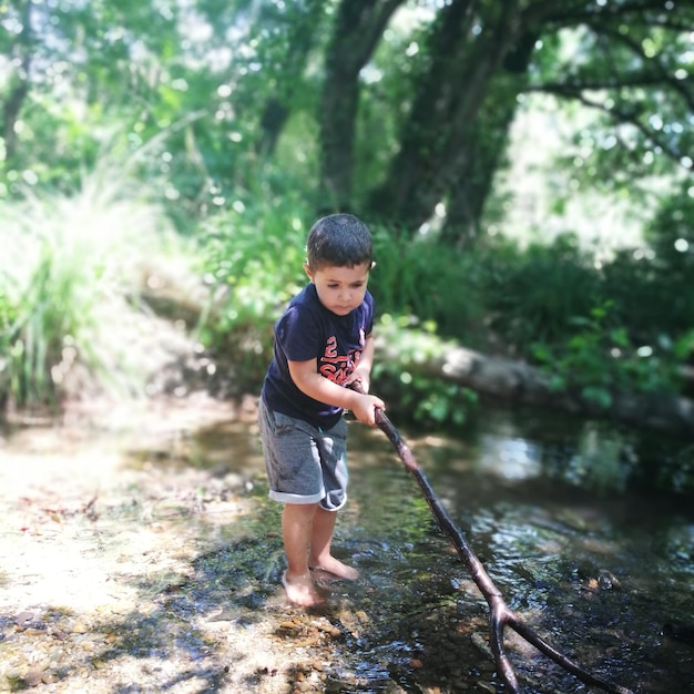 Cute boy holding stick while standing in stream at forest