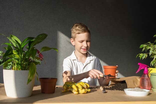 A cute boy is holding a seedling tool in his hands Care of home plants fertilize the soil