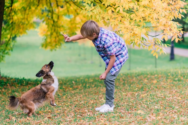 Foto ragazzo sveglio che gioca e cammina con il suo cane nel prato.