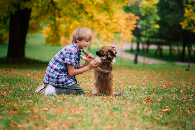 Cute boy playing and walking with his dog in the meadow.