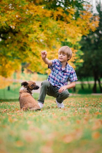 Cute boy playing and walking with his dog in the meadow