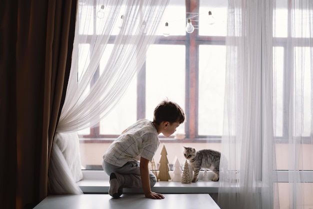 窓の近くの窓辺に座っている子猫と遊ぶかわいい男の子。居心地の良い家