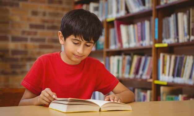 Cute boy reading book in library