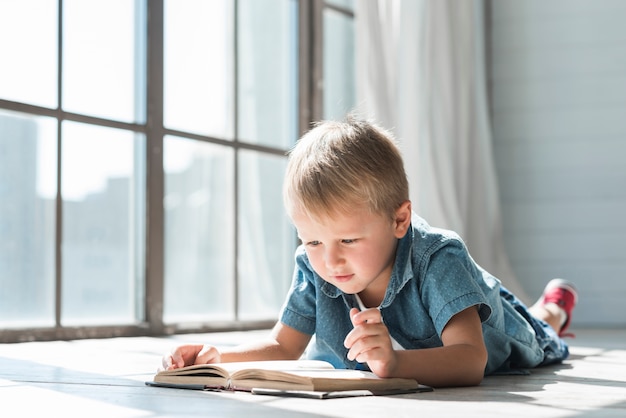 Cute boy reading book near the window