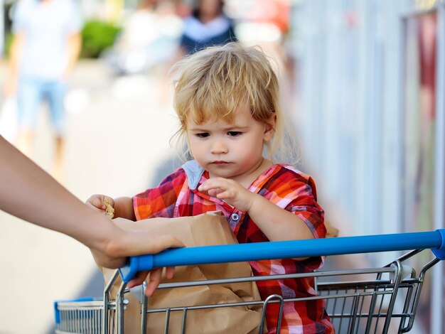 Ragazzo carino nel carrello della spesa