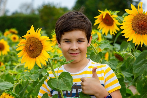 Foto un ragazzo carino sta in fiori di girasole mostrando un pollice in alto