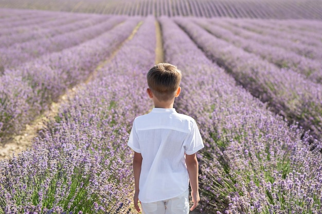 Cute boy in a white shirt in a lavender field Provence Rear view