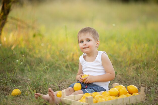 나무 아래 정원에서 여름 레몬과 흰색 티셔츠에 금발 머리를 가진 귀여운 소년