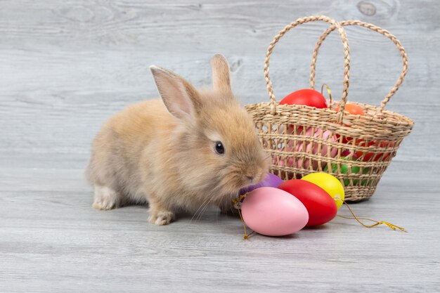 Cute brown baby rabbit and basket of colorful easter eggs on wooden background. 