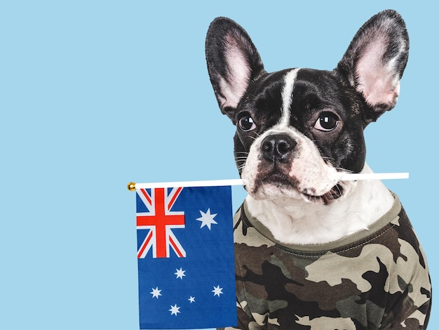 Photo cute brown puppy military shirt and australian flag