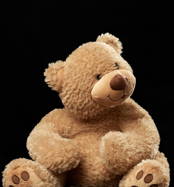 Cute brown teddy bear on a black