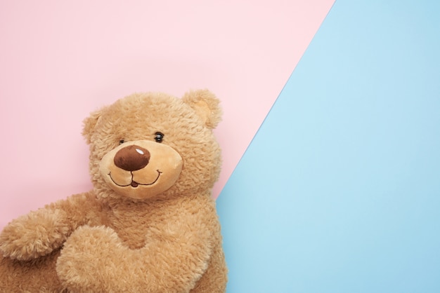 Cute brown teddy bear on a pink-blue background