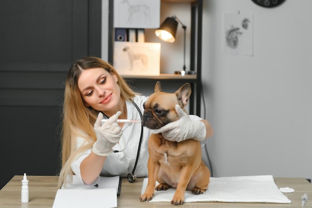 Cute calm dog sitting in vet cabinet