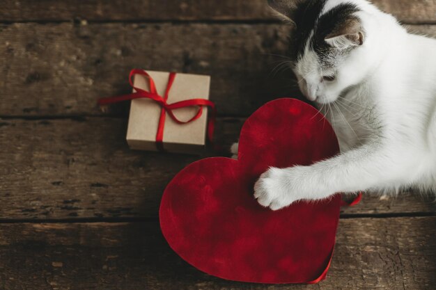 Cute cat holding red velvet heart with gift box and red ribbon on rustic wood Happy Valentines day