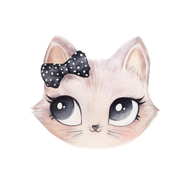 cute cat kitten pet face portrait animal white black