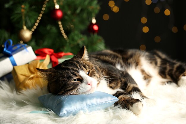 クリスマスの装飾が施されたカーペットの上に横たわっているかわいい猫