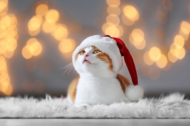 Cute cat in Santa Claus hat against blurred Christmas lights