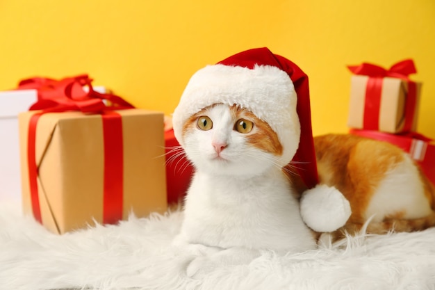 Cute cat in Santa Claus hat and gift boxes on color wall background