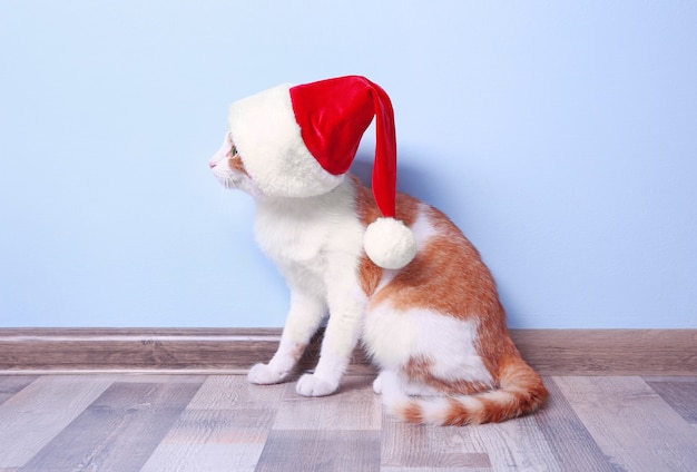 Cute cat in Santa Claus hat on light wall