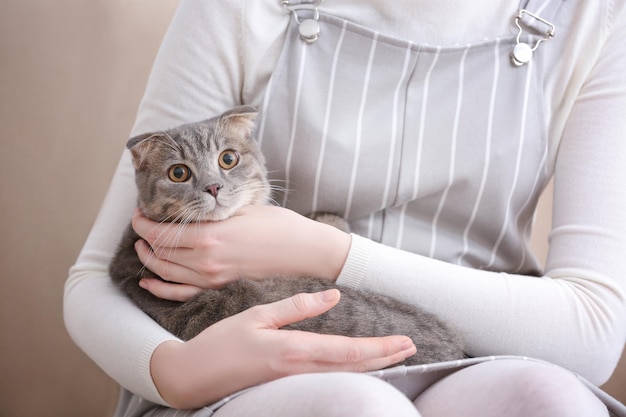 Cute cat with owner at home closeup