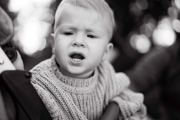 Cute caucasian baby boy sitting in a buggy