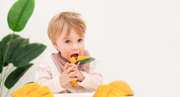 Cute caucasian babytoddlerchild eat fresh tropical fruit mango lunchmealHealthy foodCopy space